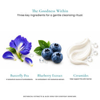 Bloom Remedy Butterfly Pea Gel