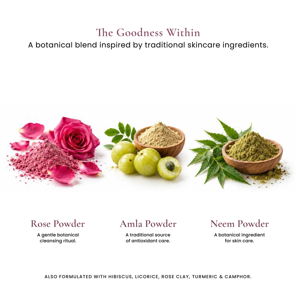 Natural Glow Powder Face Wash